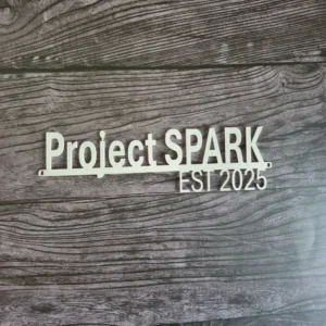 Personalized Metal Sign – Modern Minimal Style with EST. Year