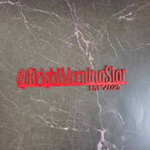 Personalized Metal Sign – Semi Cursive Style with EST. Year